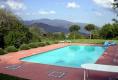 The pool