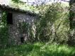 casalino