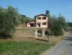 COLLINE DI CAMAIORE 